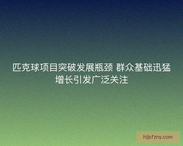 匹克球项目突破发展瓶颈 群众基础迅猛增长引发广泛关注